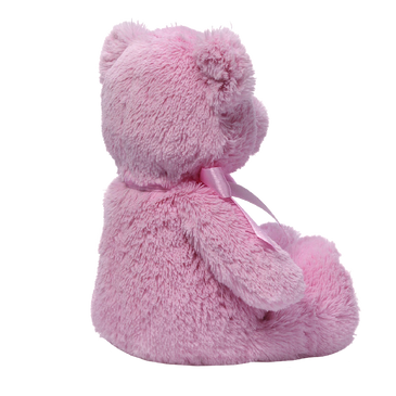 Gund My First Teddy Bear Baby Stuffed Animal