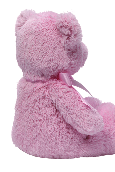 Gund My First Teddy Bear Baby Stuffed Animal