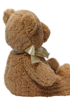 Gund My First Teddy Bear Baby Stuffed Animal