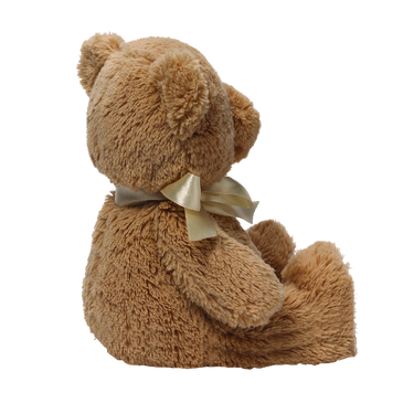 Gund My First Teddy Bear Baby Stuffed Animal