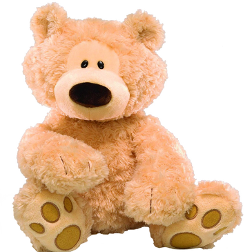 Philbin teddy bear deals
